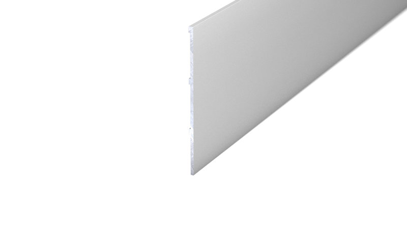 Prinz Alu-Flachprofil 2 x 100 mm - Nr. 915 - Silber - 300 cm