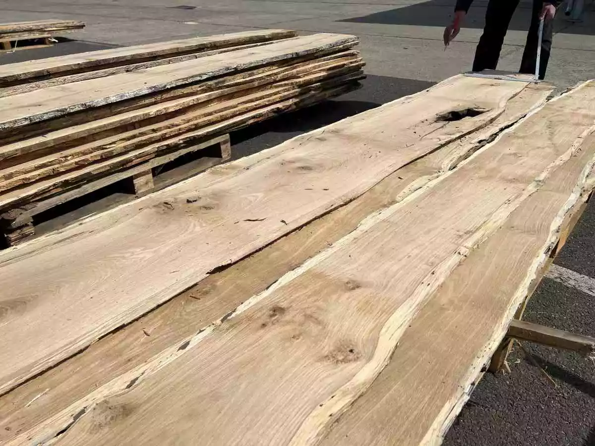 Eiche rustikal 200 x 35-40 cm - mit Baumkante, unbesäumt und entrindet - unbehandelt